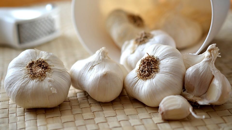 Eating Garlic, Onions Daily May Ward Off Colon Cancer Risk