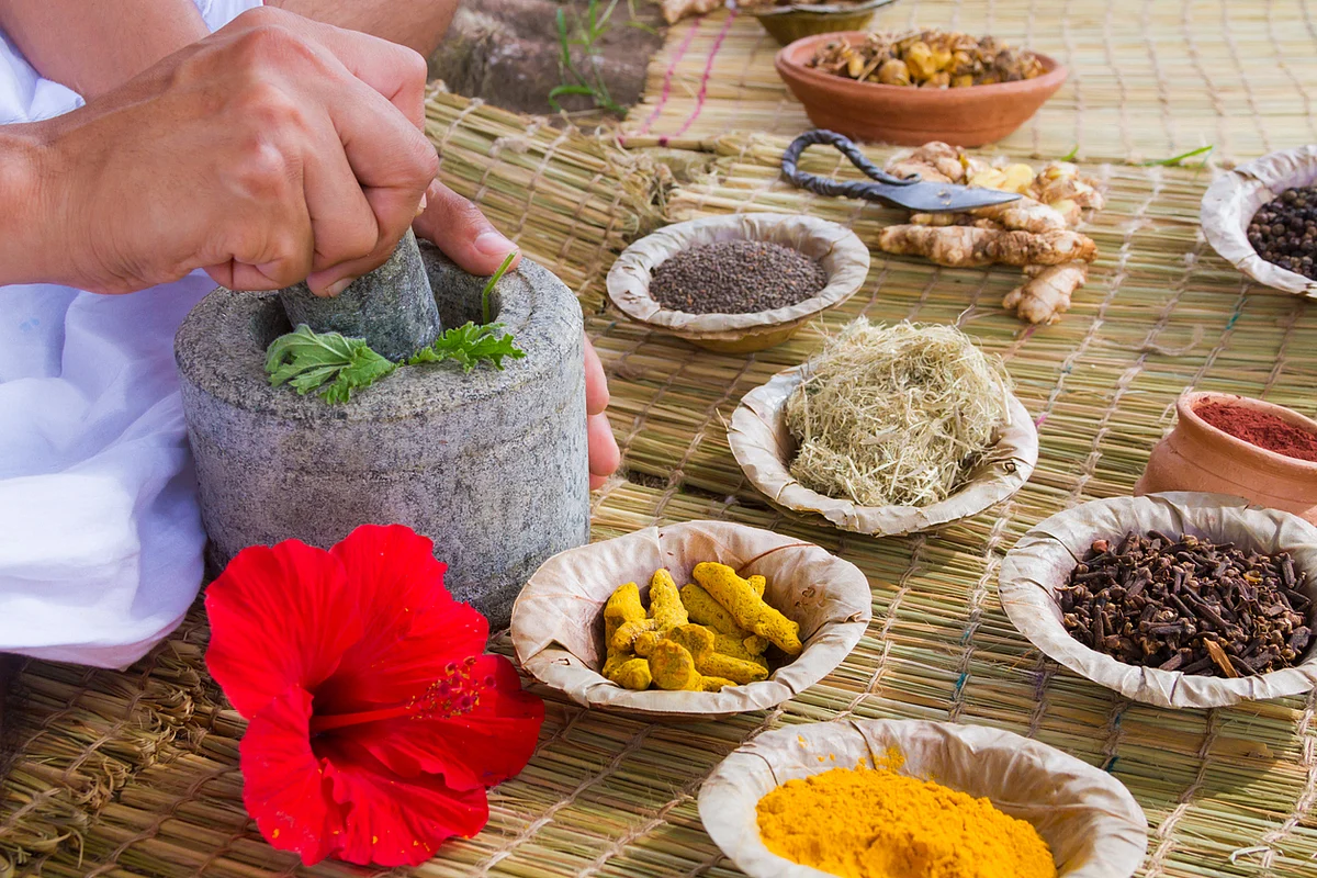 In Ayurveda, kutki is prescribed to improve appetite and to treat jaundice or bile disorders.