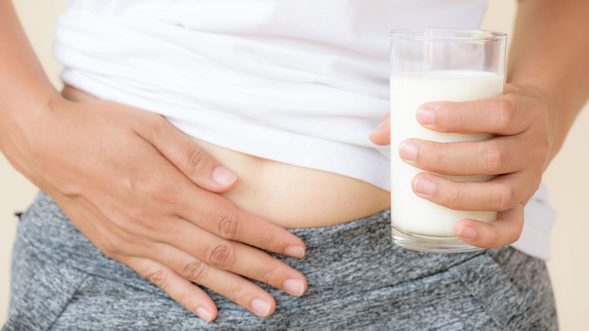 The ongoing ability to digest lactose, the main sugar in milk, into adulthood is a biological abnormality.
