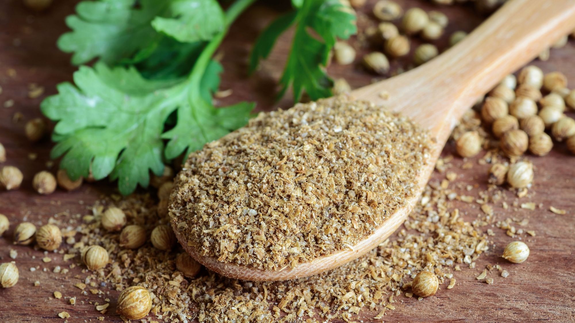 The main use of coriander seeds is in cooking, featuring prominently among all major world cuisines. 