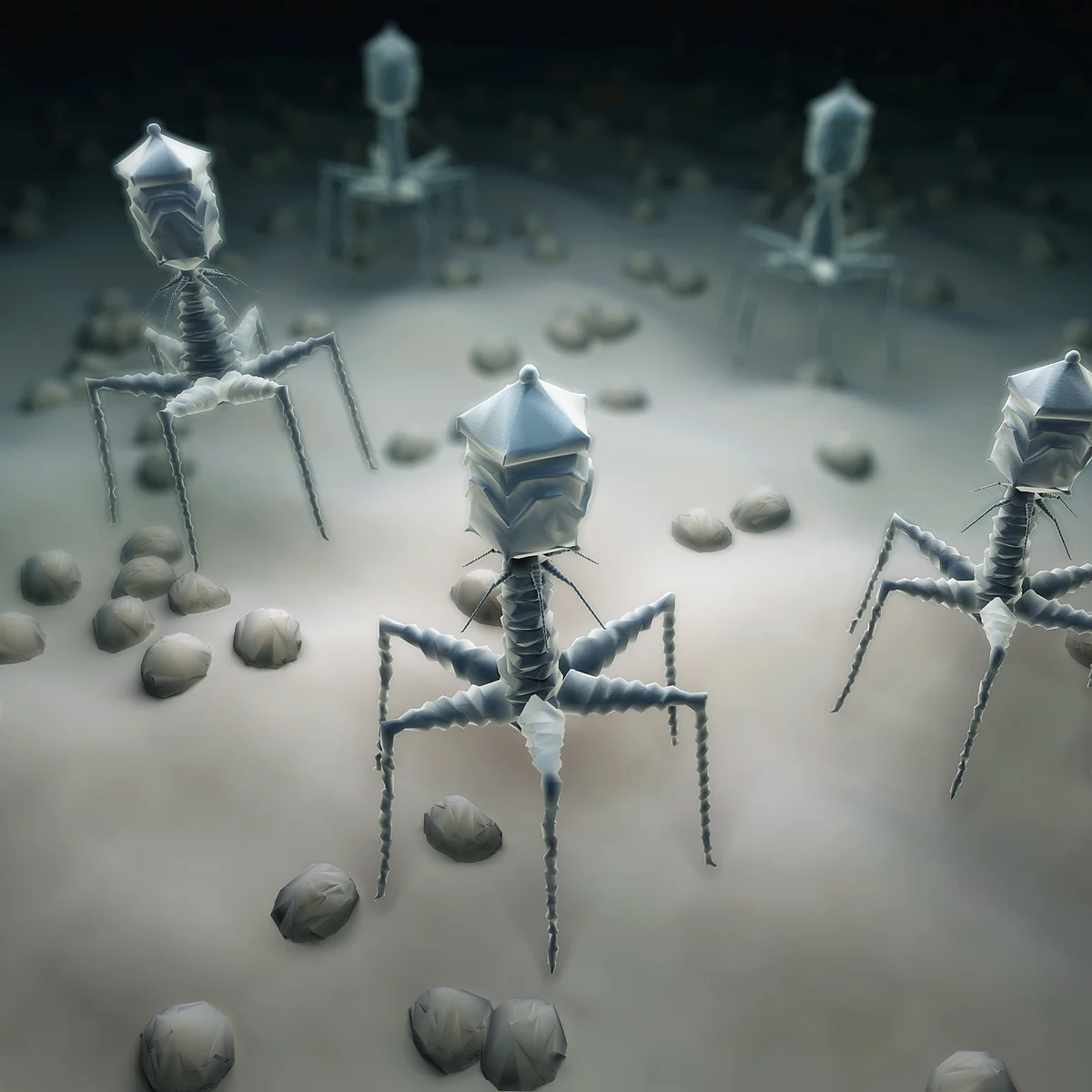 A biological technique – Phage Display – was awarded the Nobel Prize in 2018.