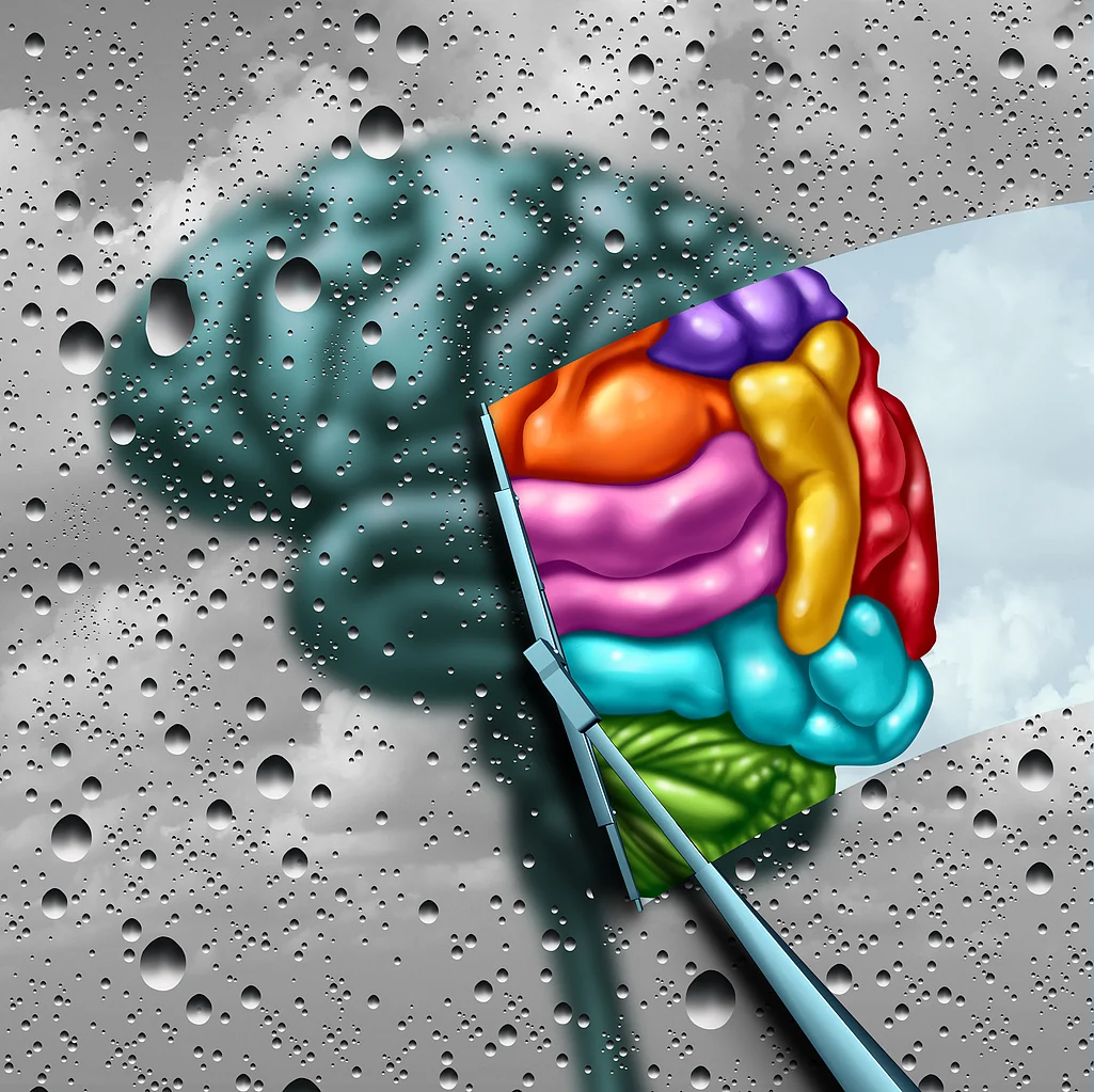 What’s going on chemically inside a suicidal brain?