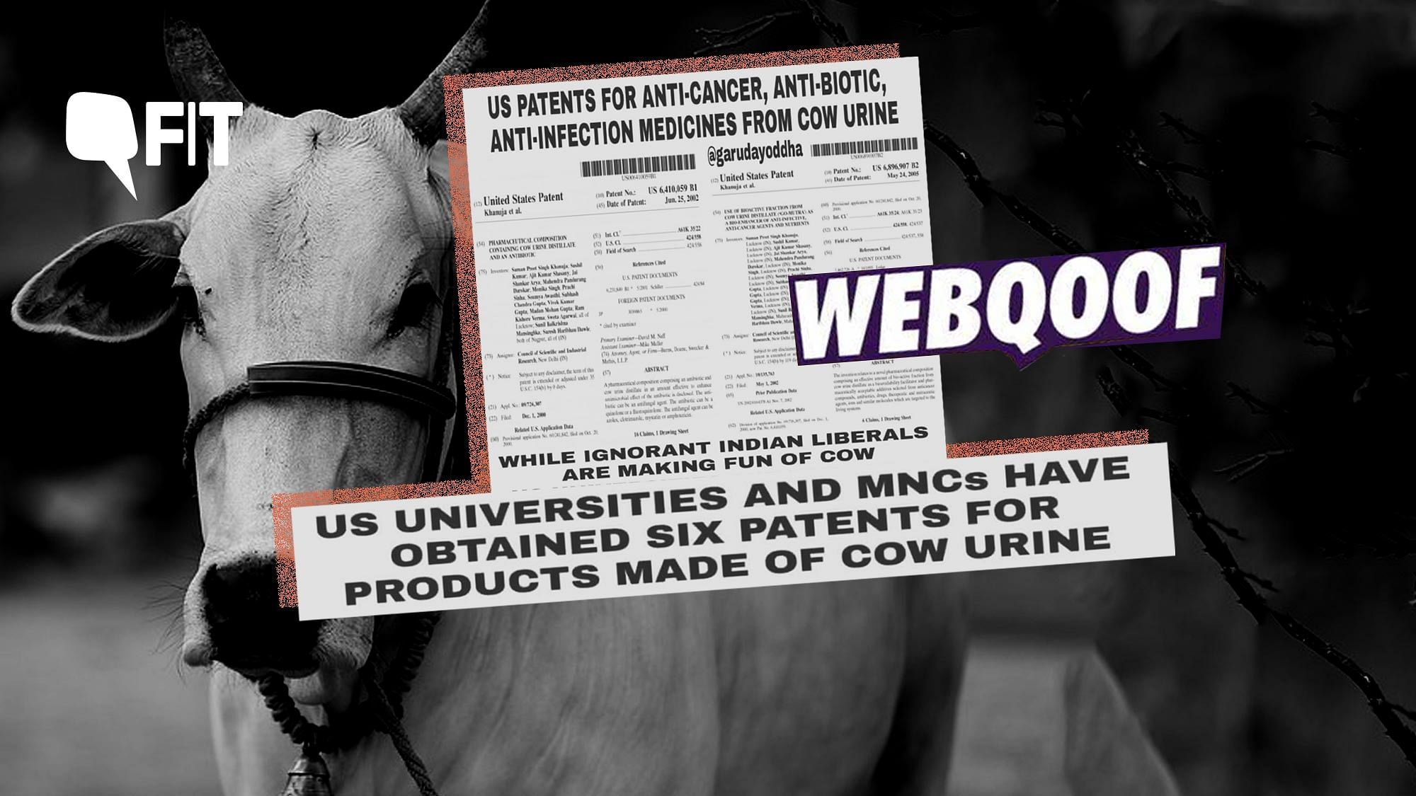 Have US Universities and MNC’s really obtained six patents for medicines made of cow urine?&nbsp;
