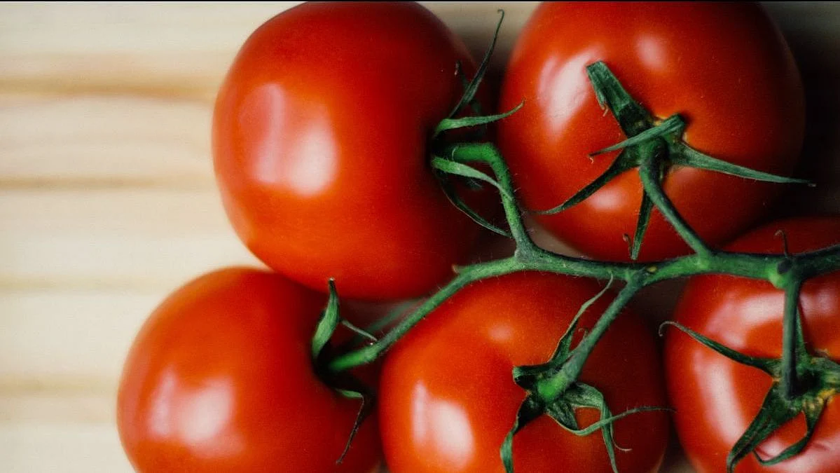 Tomatoes are high in fibre and rich in vitamin C. They also contain lectin.