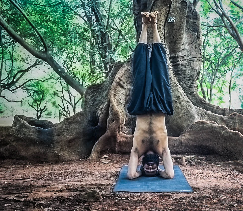 Your interlocked palms and elbows must form an imaginary equilateral triangle.