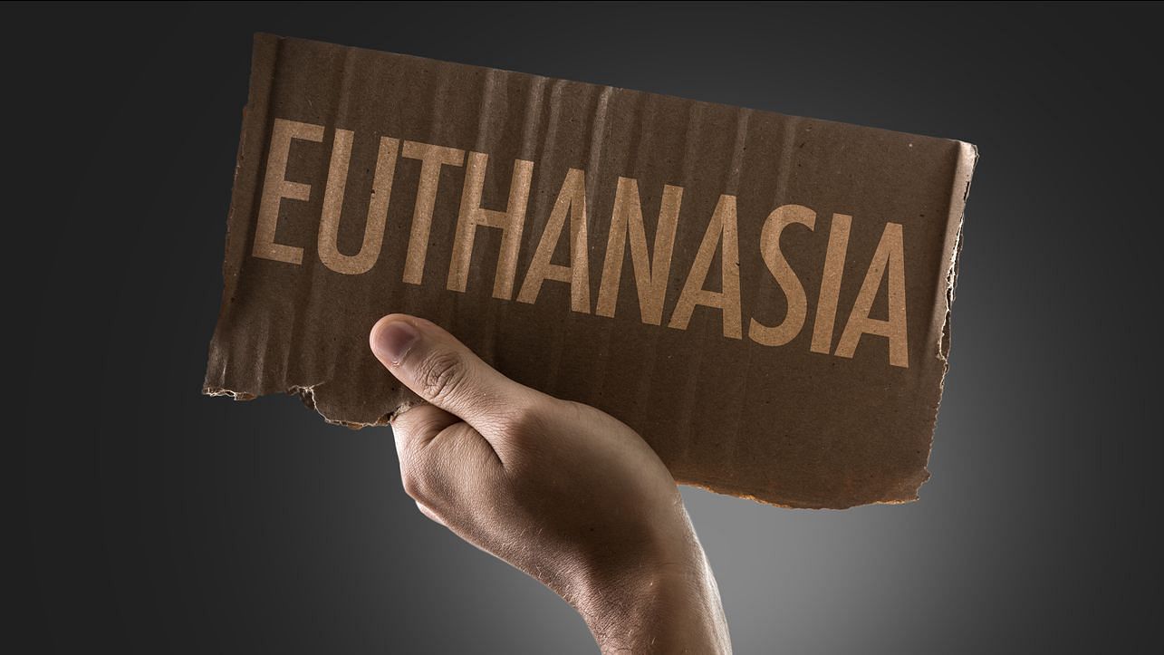 What do we know about euthanasia?