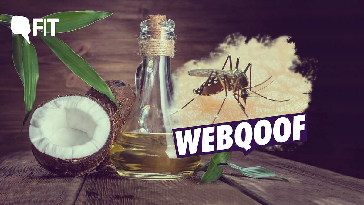 FIT WebQoof: Can Coconut Oil Prevent Dengue?