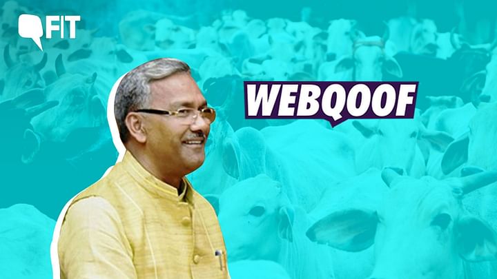 Fact Check: Uttarakhand CM Trivendra Singh Rawat claimed that Cows Inhale  and Exhale Oxygen, Can Treat Breathing Problems and Tuberculosis