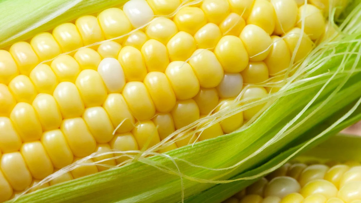 Corns are loaded with soluble and insoluble fibre.