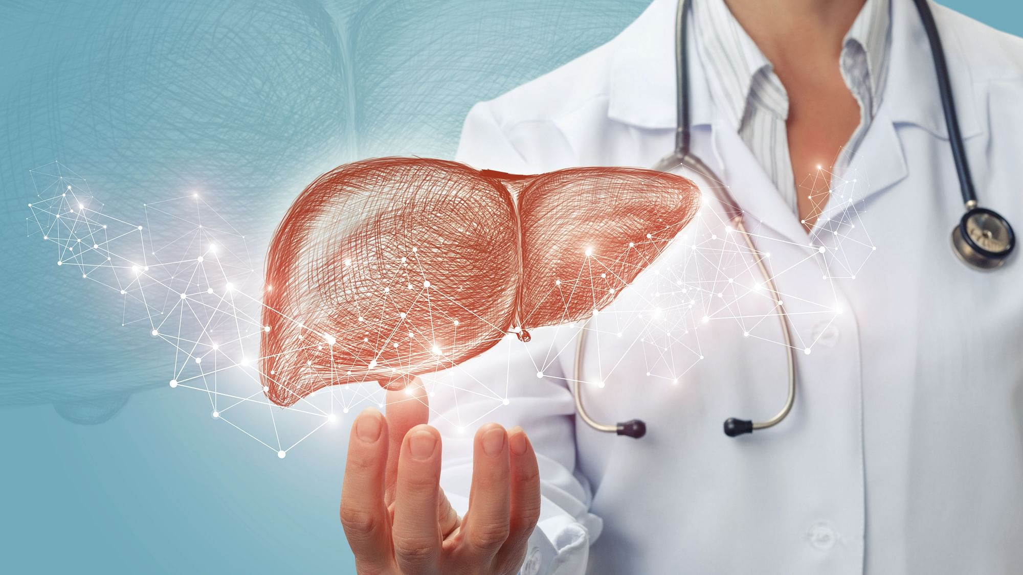 Researchers identified a new type of cell that may be able to regenerate liver tissue and treat liver failure.