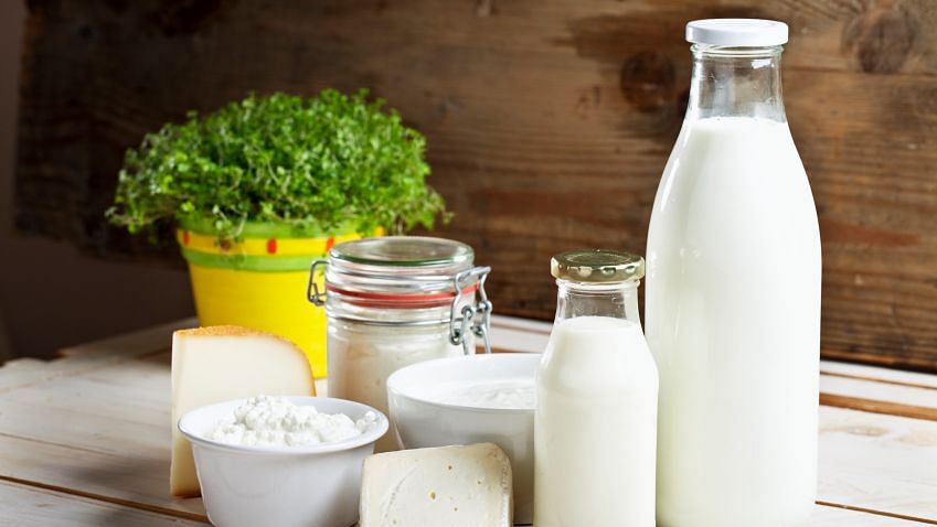 Protein, Dairy Consumption May Reduce Diabetes Risk, Finds a Study