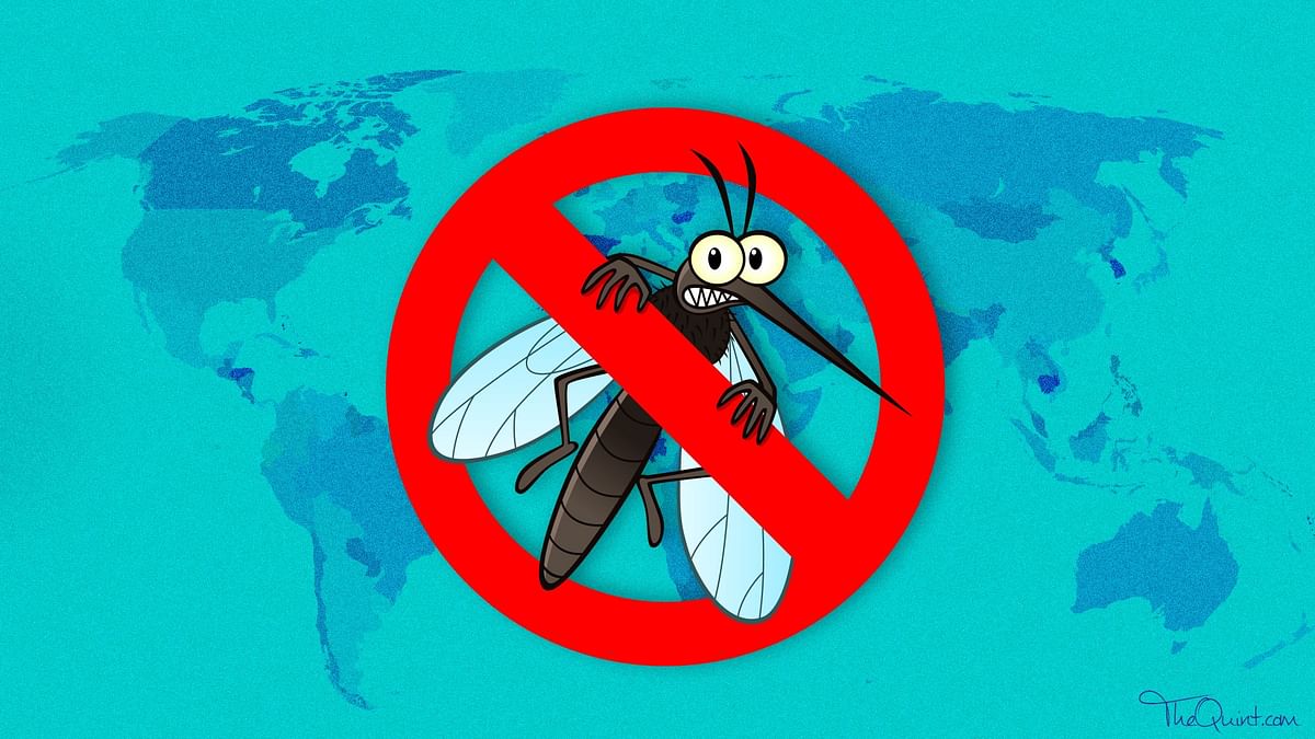 Malaria Spike in Delhi: 51 Cases Reported in June
