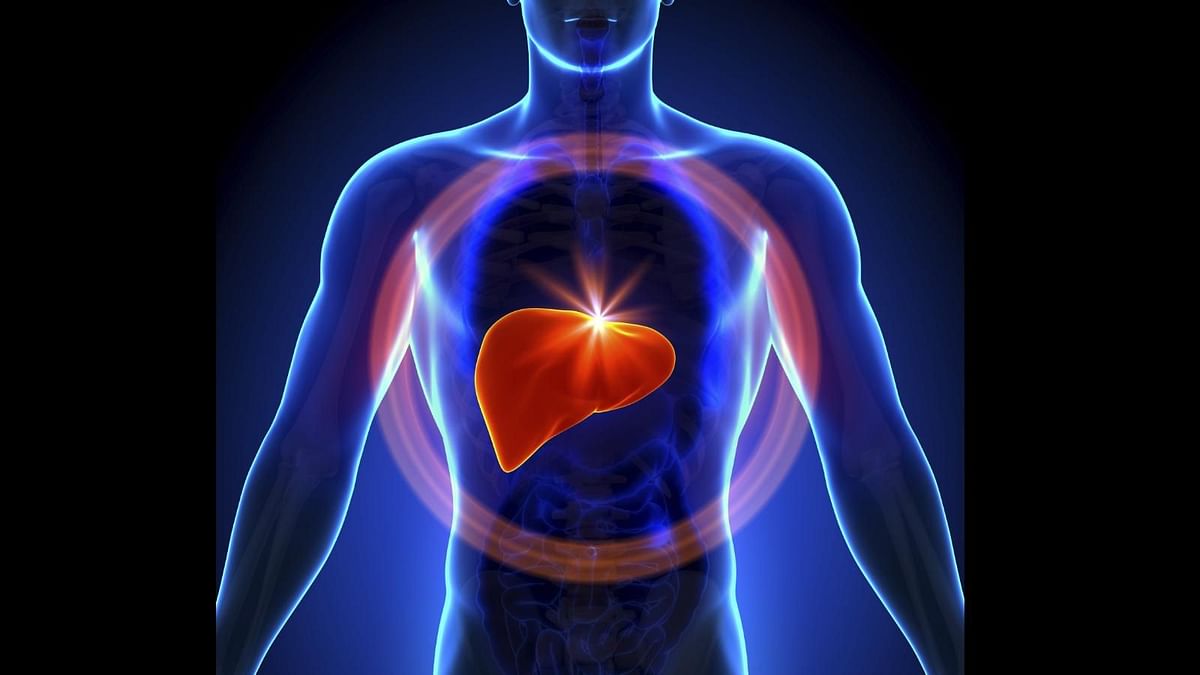 The connection between lead and fatty liver disease has been known for a while.