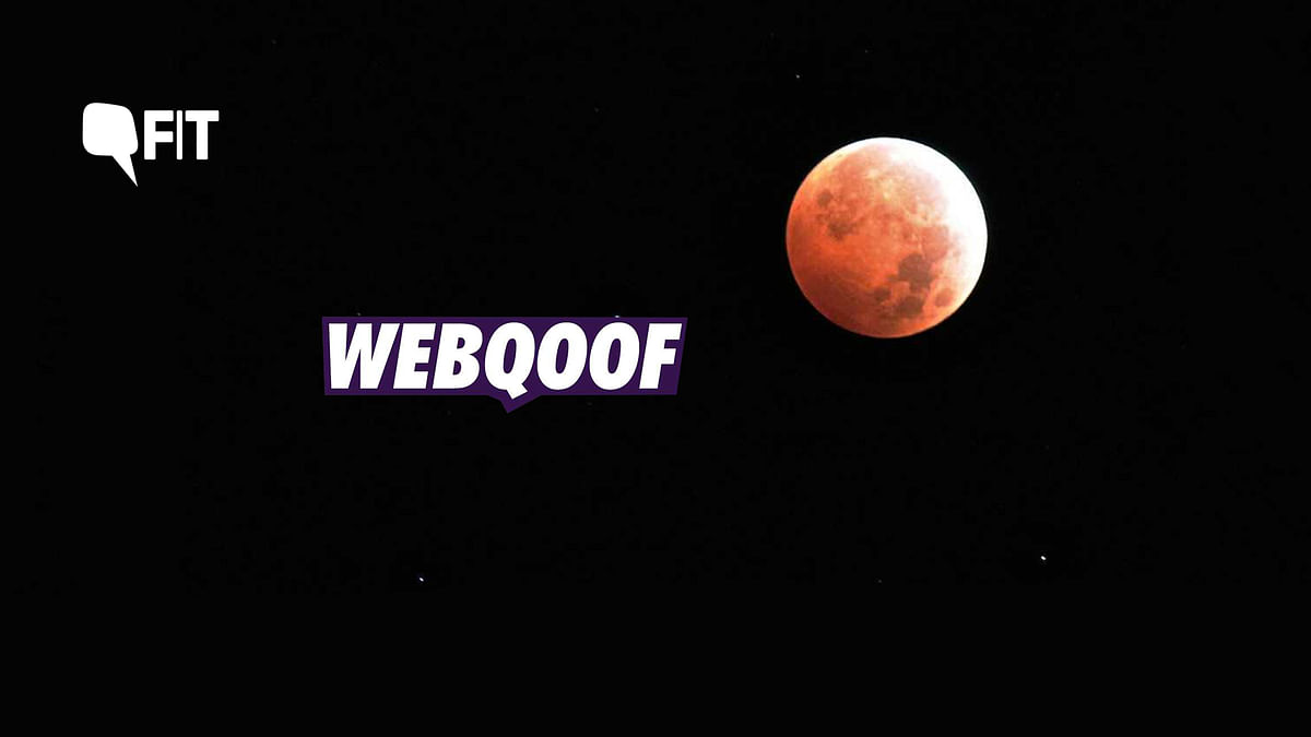 FITWebqoof: Does Lunar Eclipse Impact Pregnant Women? 