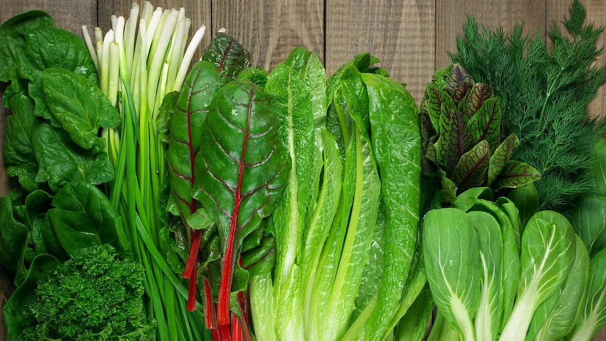 <div class="paragraphs"><p>Broccoli, kale, and spinach are teeth-accommodating food sources brimming with folic acids.</p></div>