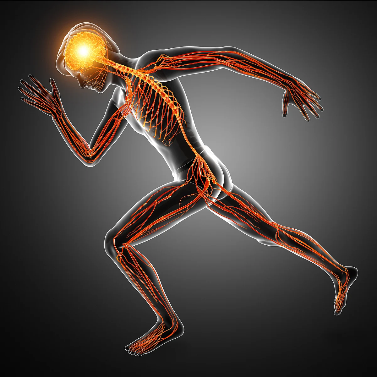 In your training, add elements of core, hip and shoulder stability as they give us a center axis from which we move.
