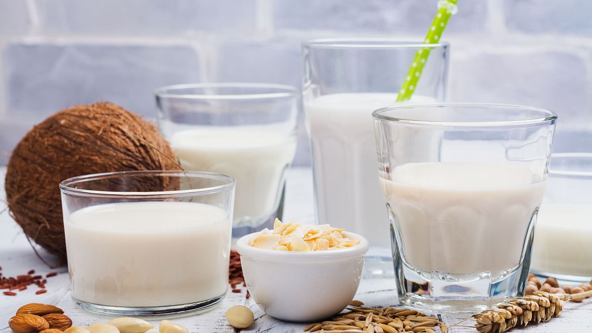 Don’t Want Dairy? Here Are Some Plant-Based Milk Options For You