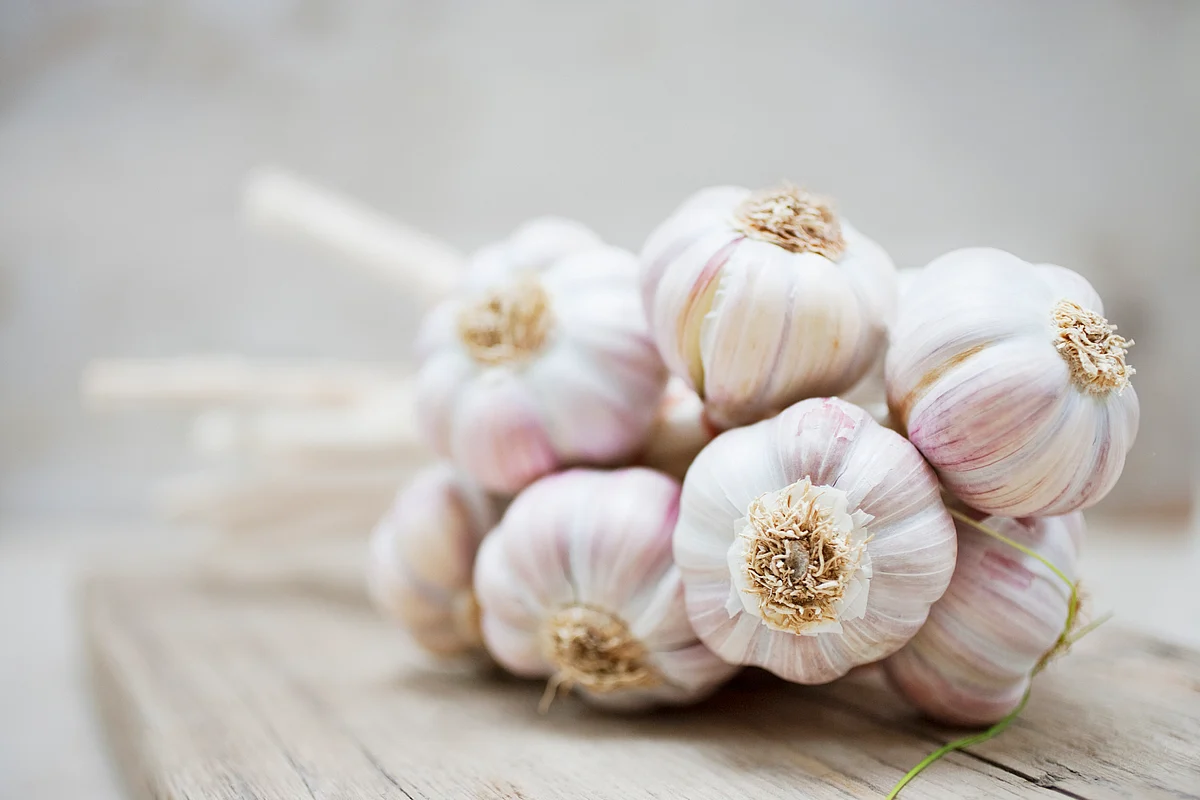 Garlic prevents and removes clots.