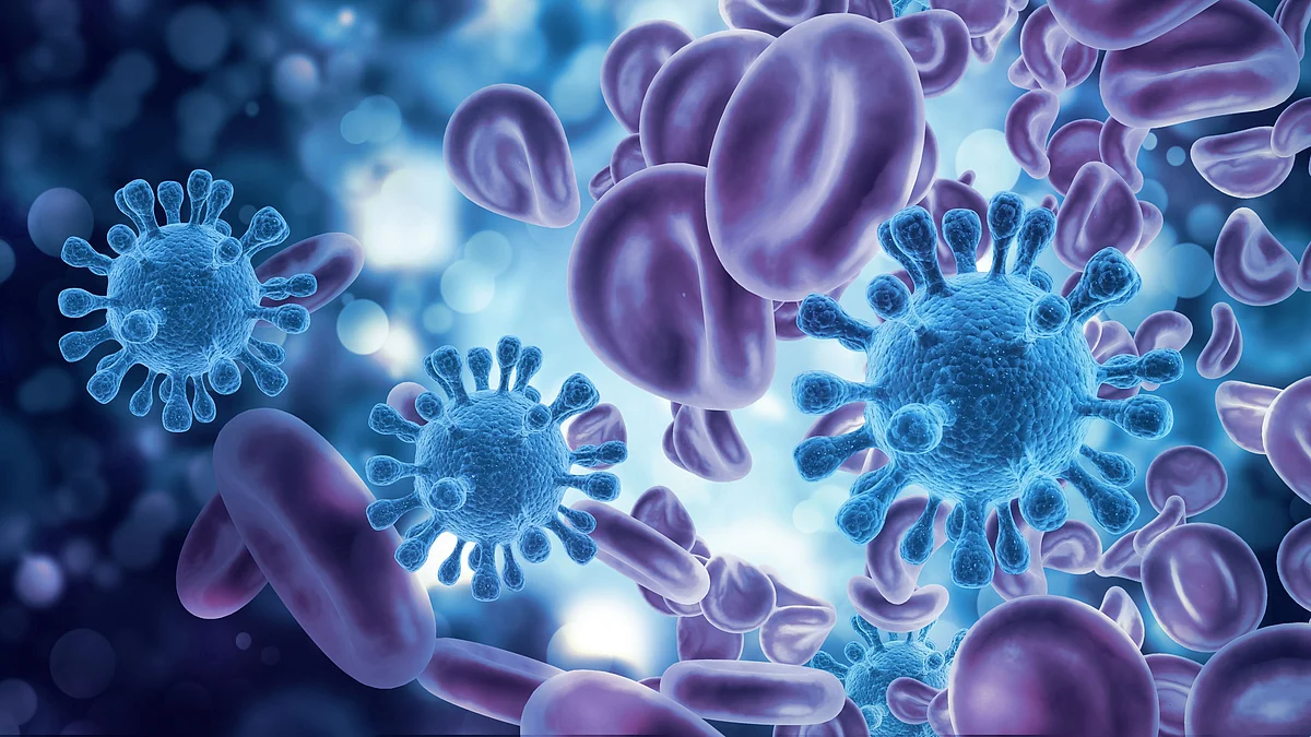 Oxygen & the Lack of It — What Does It Have to Do with Cancer?