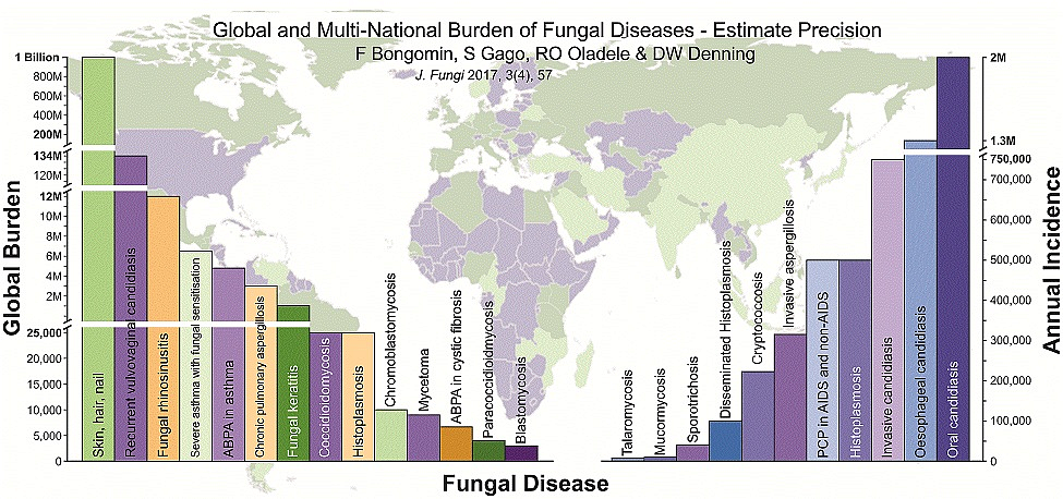 Global burden of fungal infections.