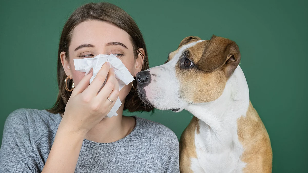 Can Your Dog Catch the Coronavirus?