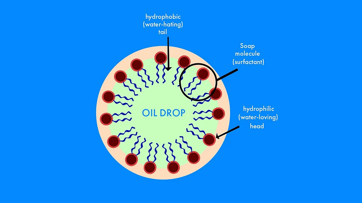 How a soap molecule works. 