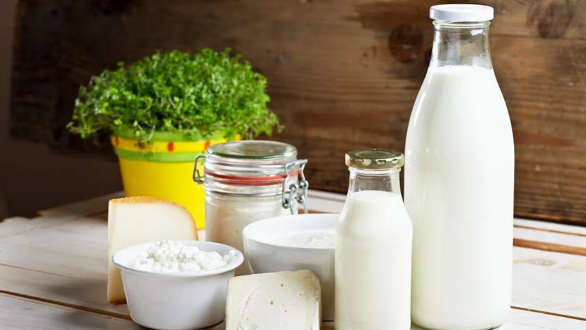 <div class="paragraphs"><p>Milk, yoghurt, and cheddar are probably the best food sources for kids' teeth.</p></div>