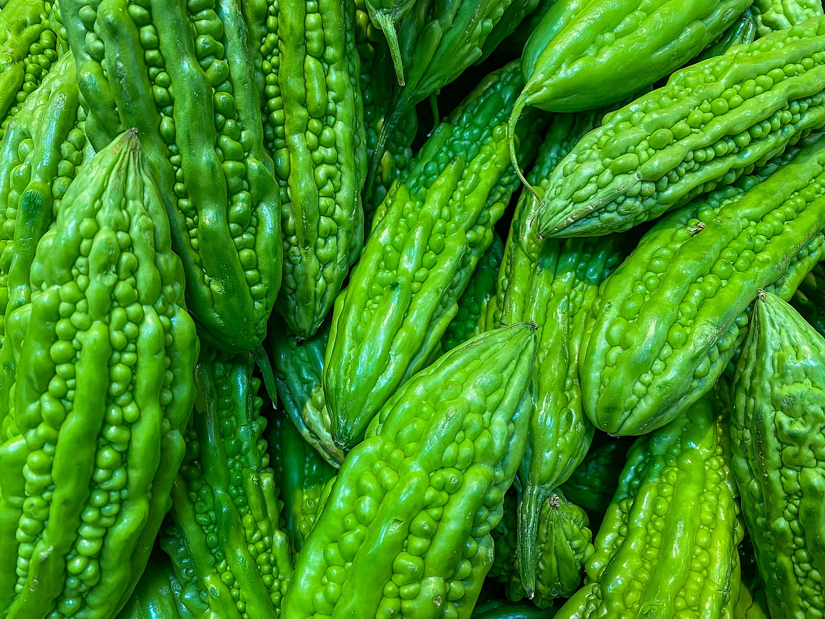 Bitter Gourd helps metabolise fat in the body