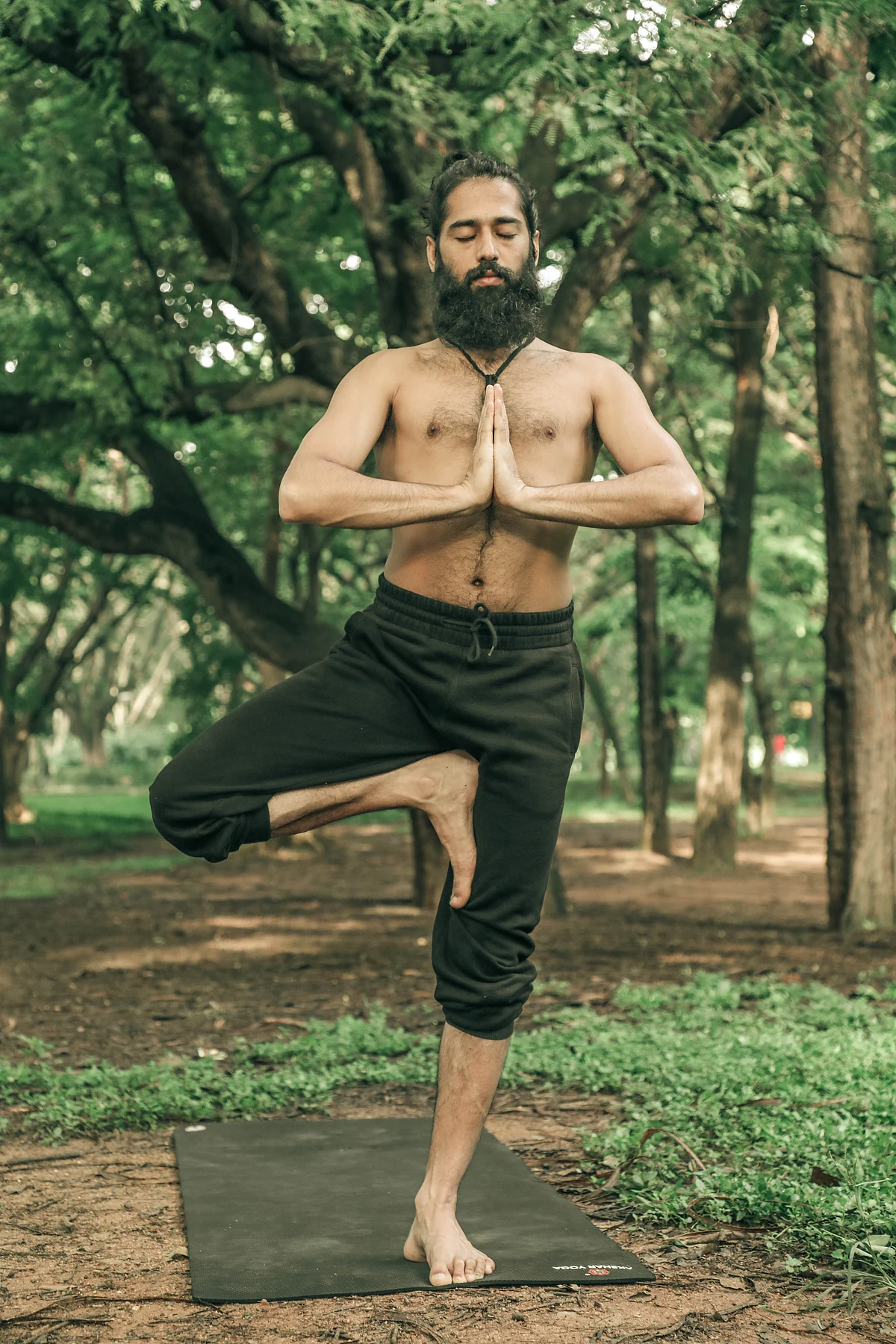 वृक्षासन