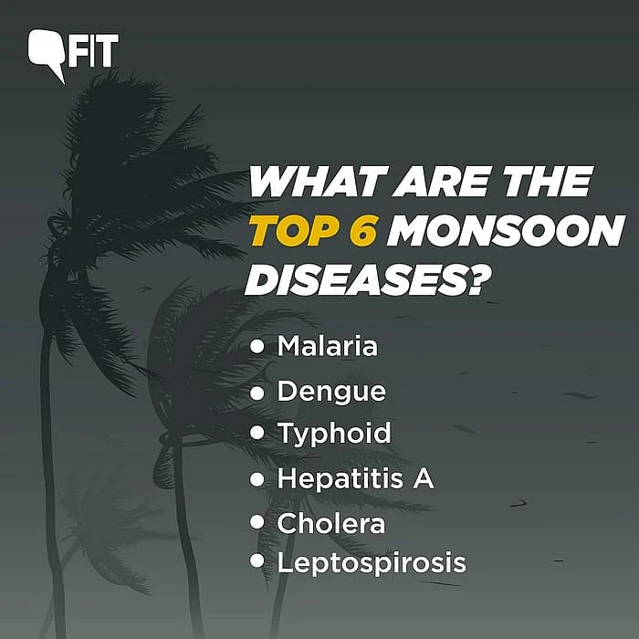 <div class="paragraphs"><p>What are the top 6 monsoon diseases?</p></div>