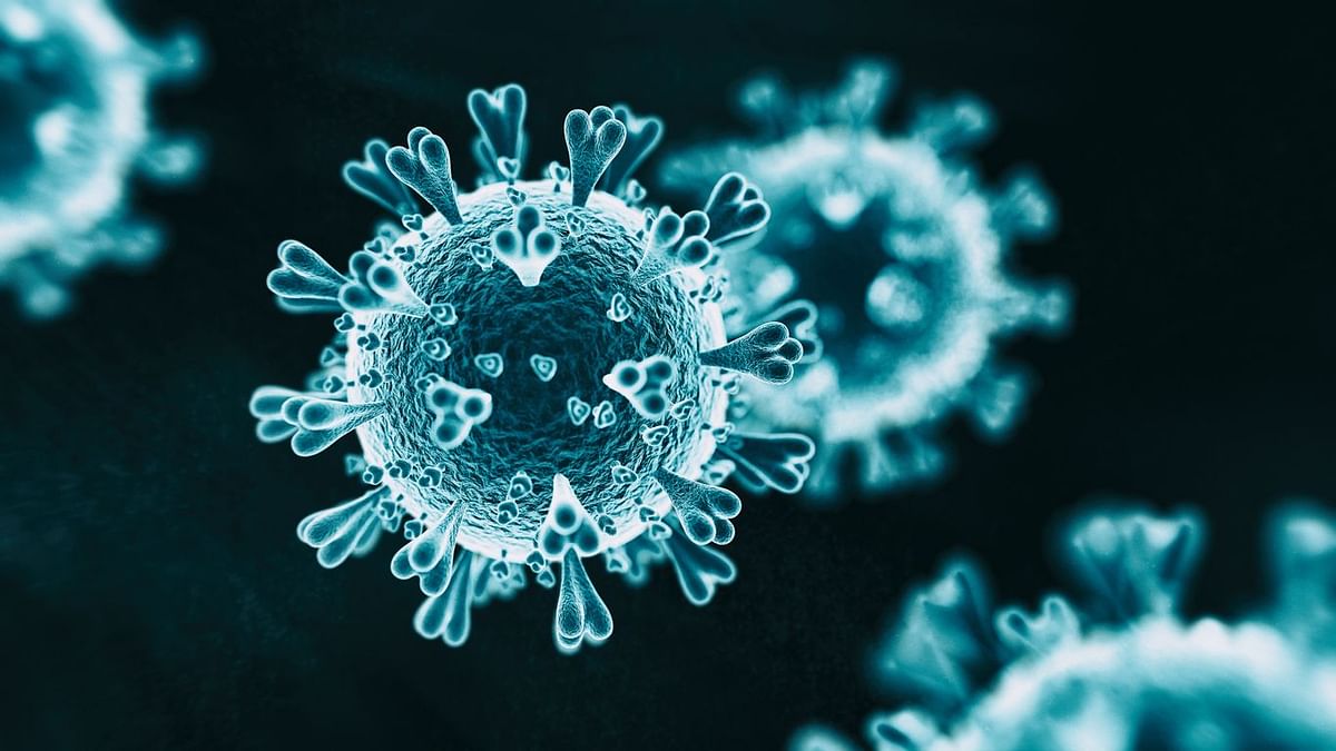 Coronavirus: Immune Response and How B Cells & T Cells Work