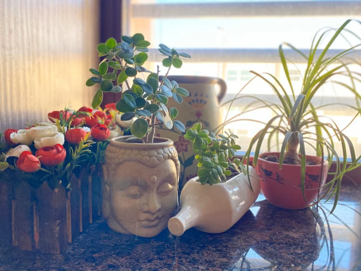 “My favourite corner.”