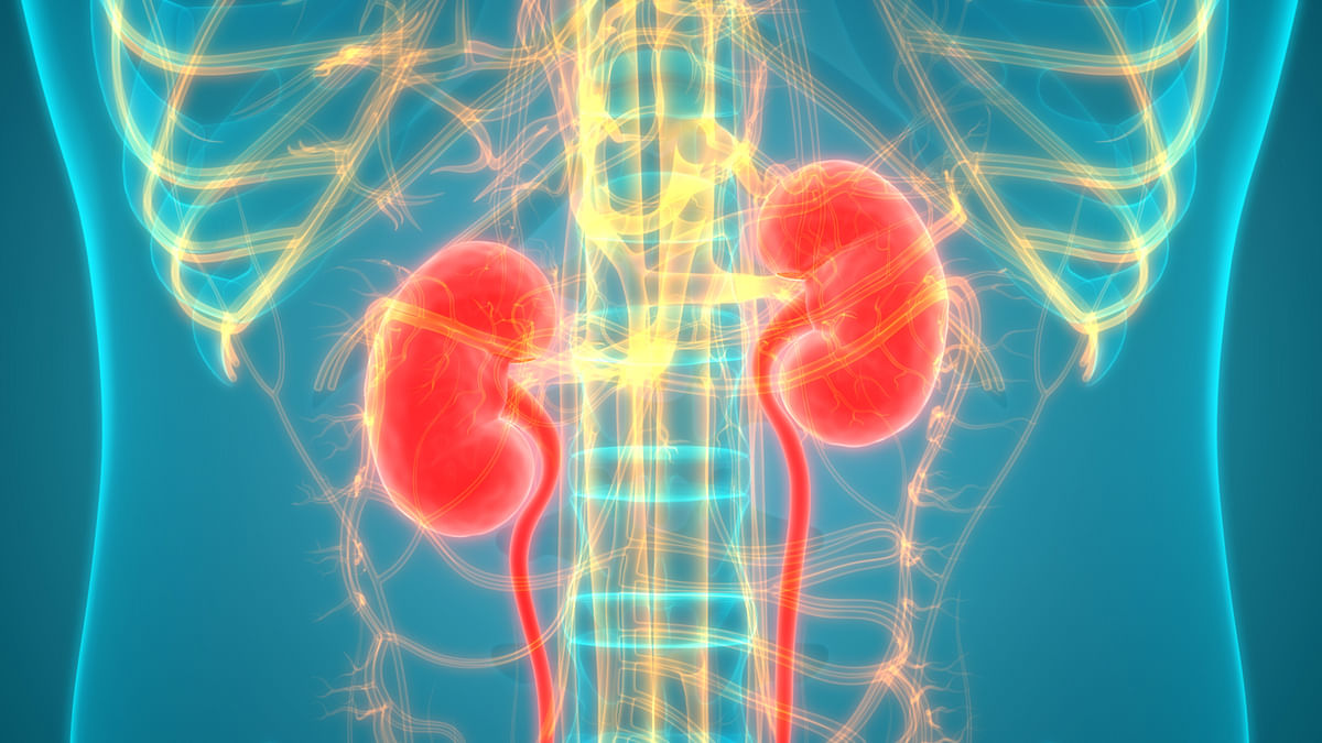 Kidney Disease Leading Risk Factor for COVID Hospitalisation