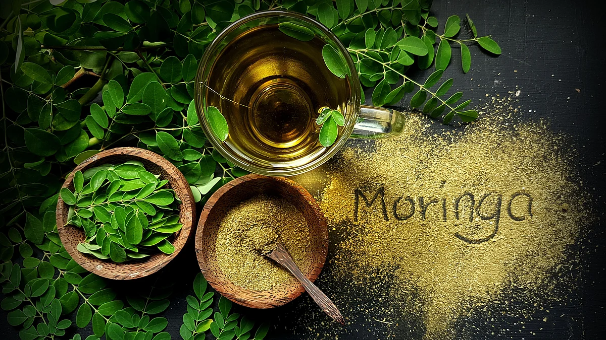<div class="paragraphs"><p>Moringa is a natural energy booster, and is loaded with potent antioxidants</p></div>