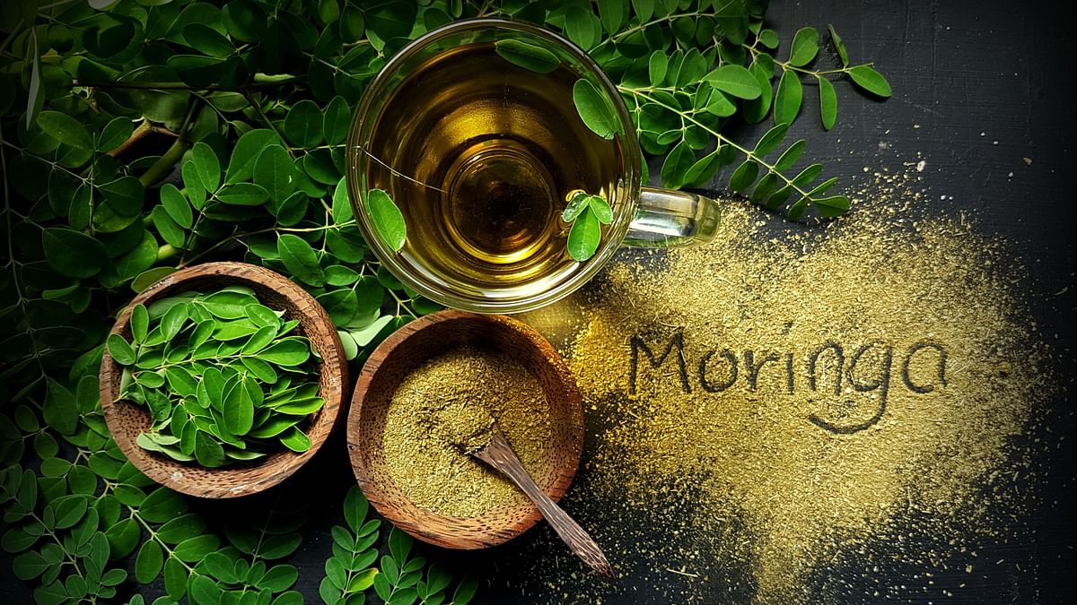 <div class="paragraphs"><p>Moringa&nbsp;is a natural energy booster, and is loaded with potent antioxidants</p></div>