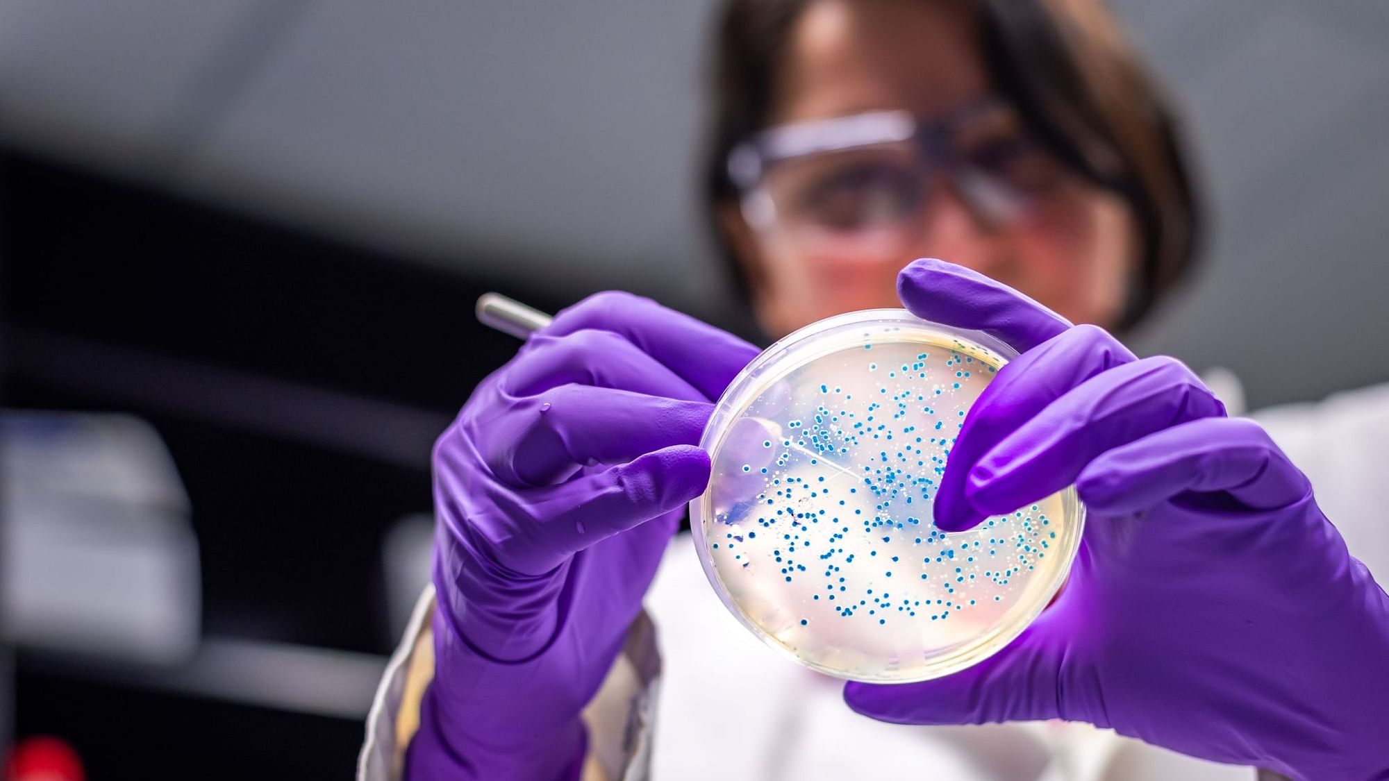 We May Have Found an Answer to Our Superbug Problem