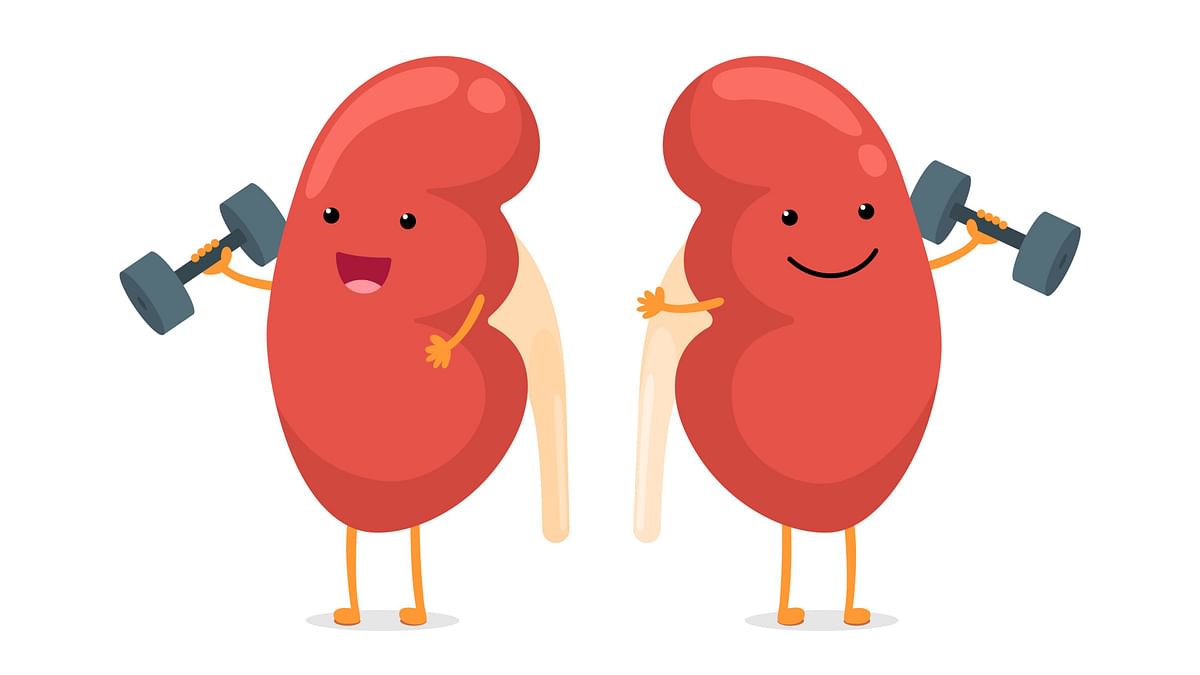 Fit Quiz: Are You Caring For Your Kidneys Right?