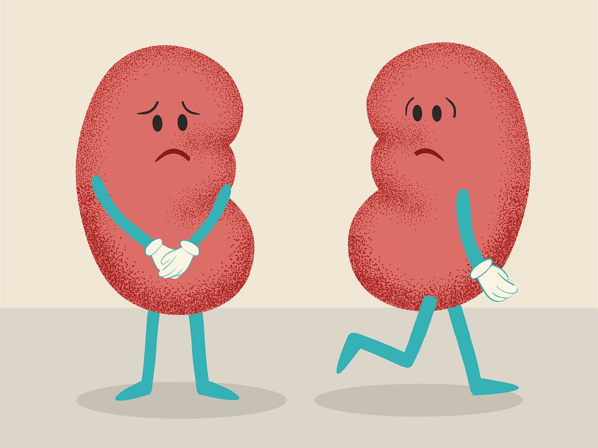 World Kidney Day: Kidney recipients open up about how transplant has transformed their lives.