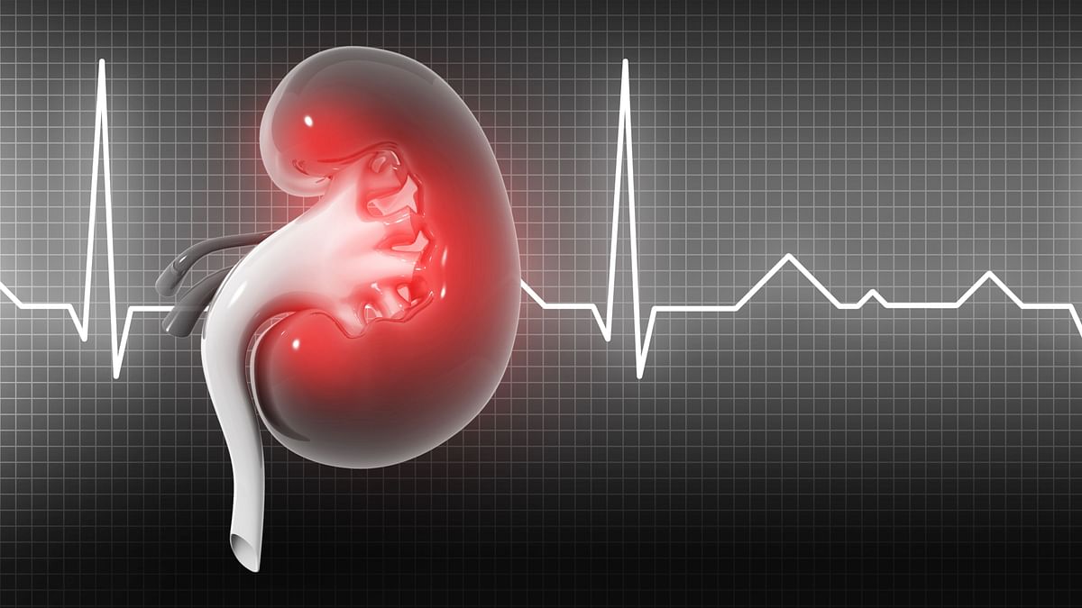 World Kidney Day: CKD Patients Have Be Extra Careful During COVID 