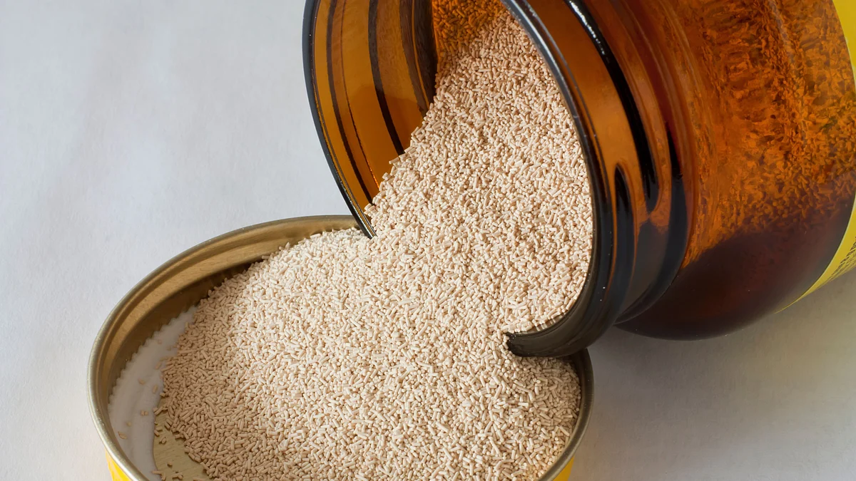 Tired Of Baking Fails? Get to Know Your Yeast to Get Fluffy Dough