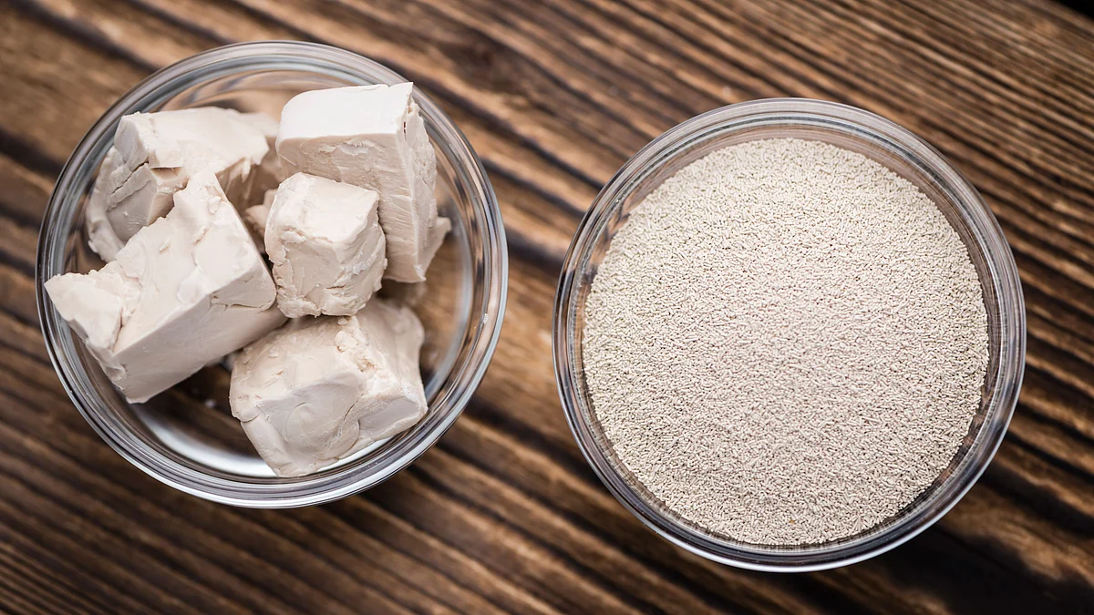 Tired Of Baking Fails? Get to Know Your Yeast to Get Fluffy Dough