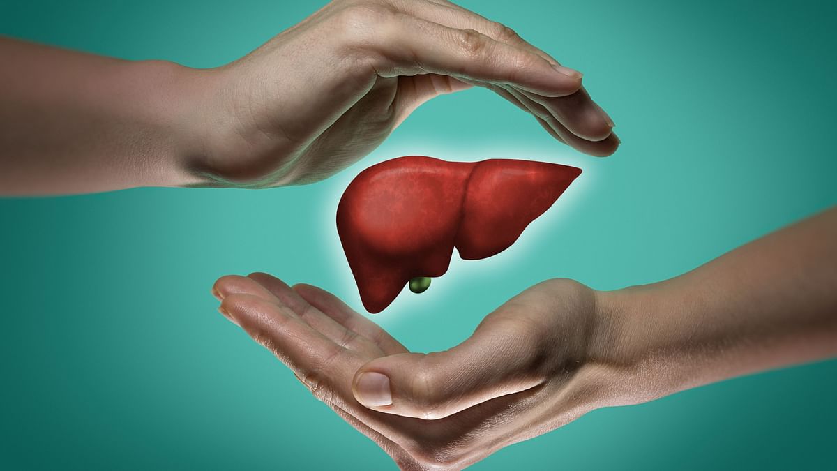 FIT Quiz: Are You Keeping Your Liver Healthy?