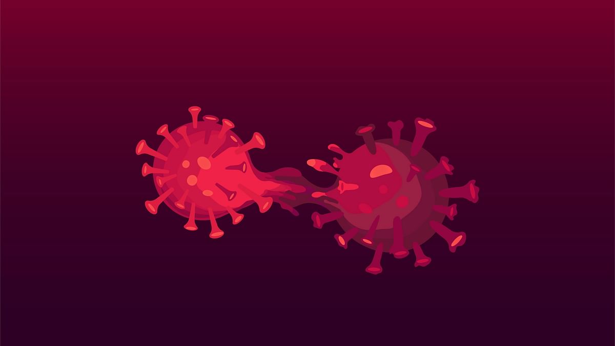 <div class="paragraphs"><p>Covid Delta Variant: Fully vaccinated people who get a Covid-19 breakthrough infection can transmit the virus, the CDC said.</p></div>