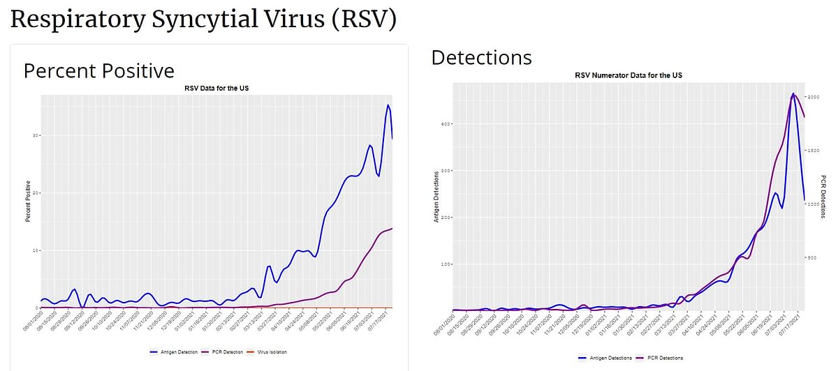 <div class="paragraphs"><p>Cases of RSV in the US between 2020 and 2021.</p></div>