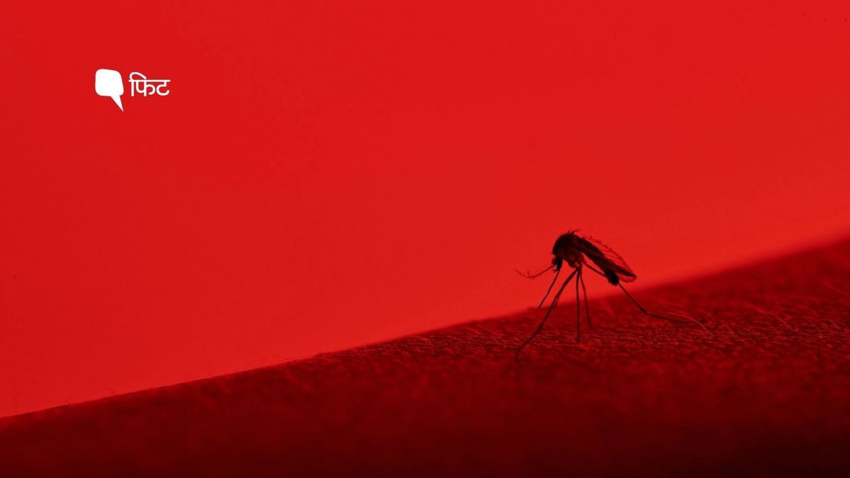 Severe Dengue: जानलेवा हो सकते हैं डेंगू के ये लक्षण, सतर्कता जरूरी