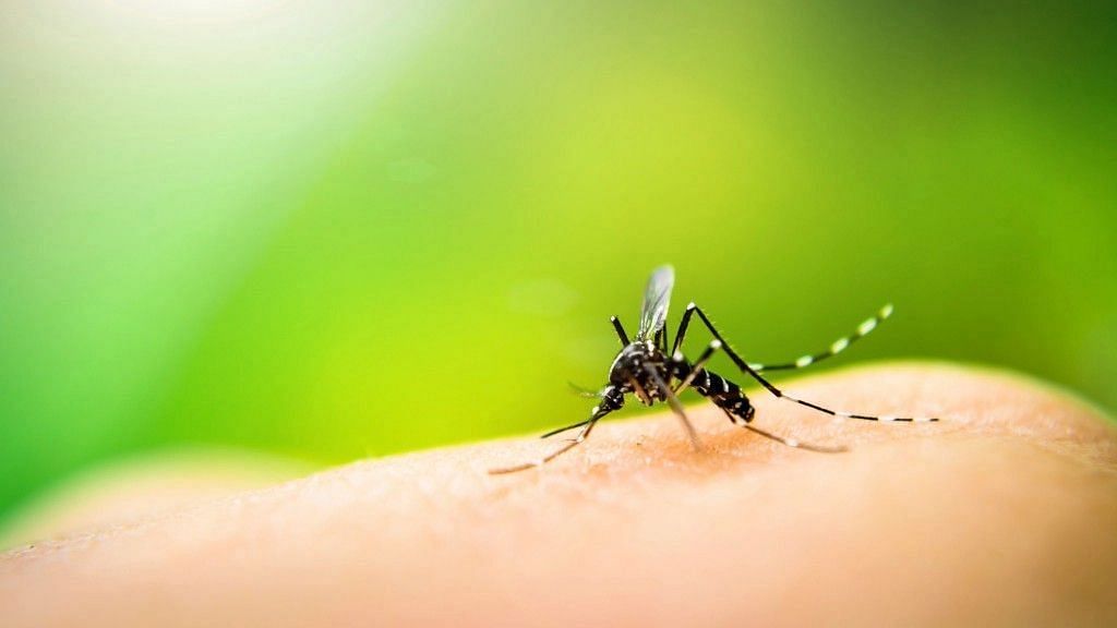 दिल्ली में डेंगू के अब तक 97 मामले, मलेरिया और चिकनगुनिया के केस भी