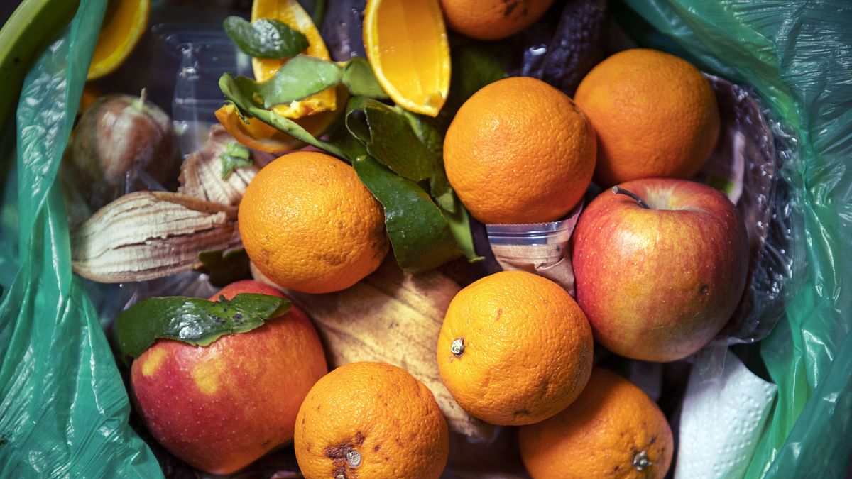 Here Are 6 Evidence Based Ways to Reduce Your Food Waste That Work!