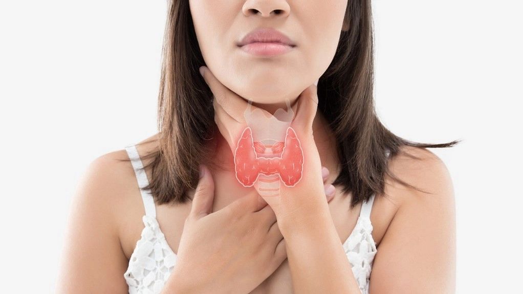 Your Guide to Thyroid Health & Diet