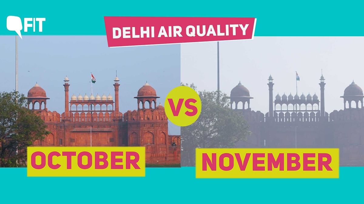 Watch | How Air Pollution Changed Delhi in 30 Days