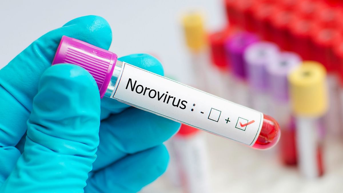 13 New Cases of Norovirus Reported in Kerala: What to Know